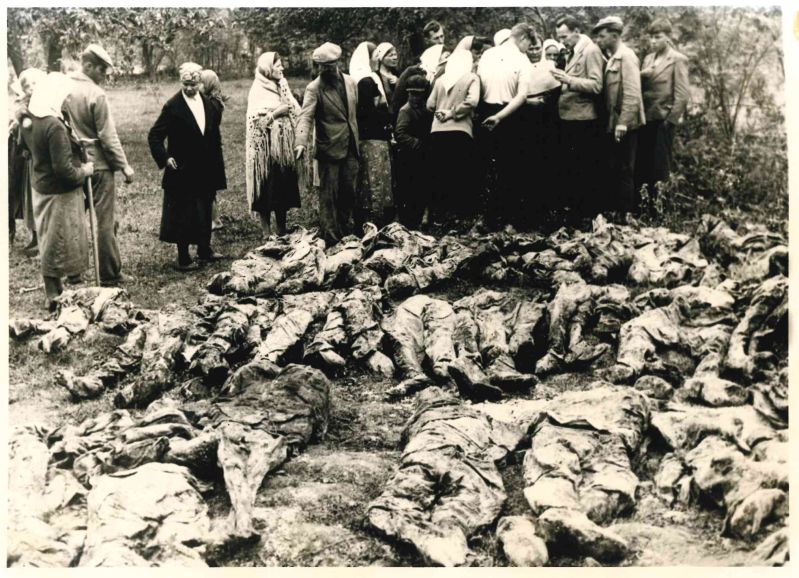 Розкопки могил у Вінниці під час приходу німців в Україні