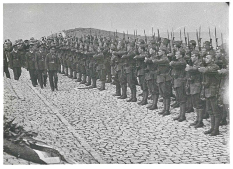 Частина Української Дивізії УНА