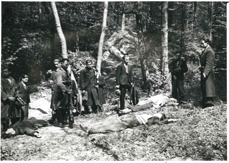 На Карпатській Україні - кадр з фільму